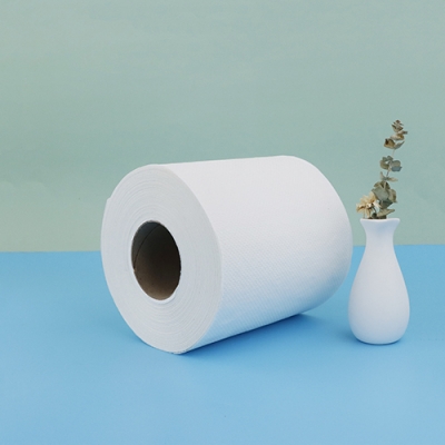 Roll cleaning paper 1