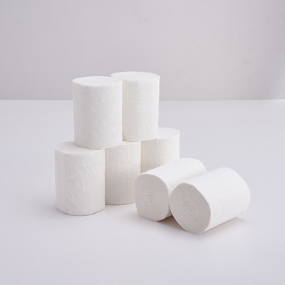 Small roll toilet paper 2